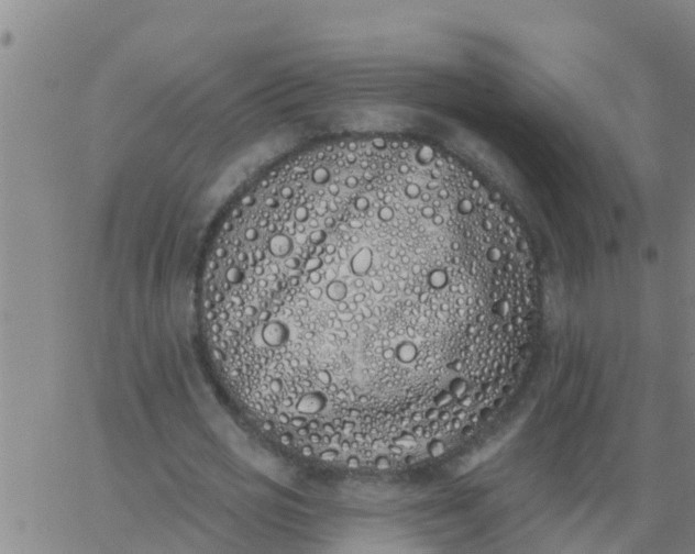 X0000062840725200601272015