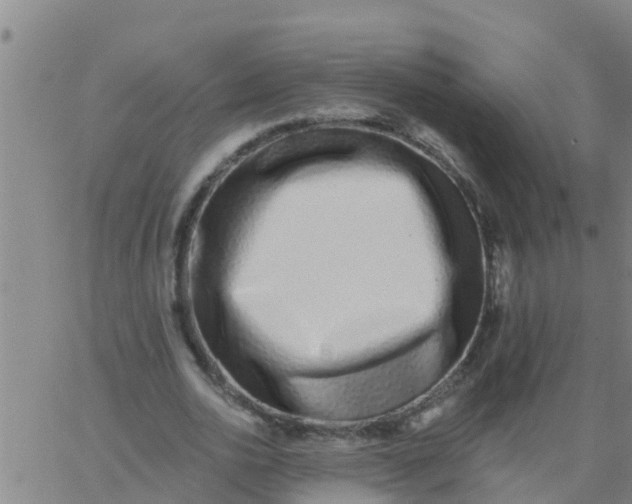 X0000062840726200601272015