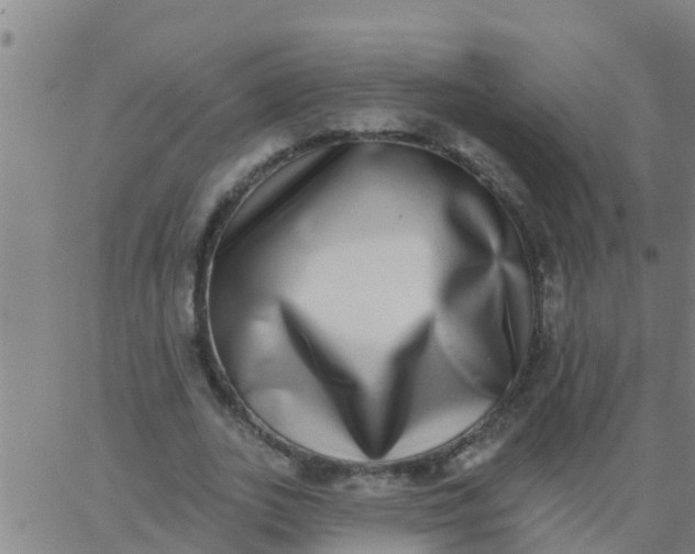 X0000062840727200601272015