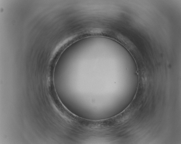 X0000062840728200601272015