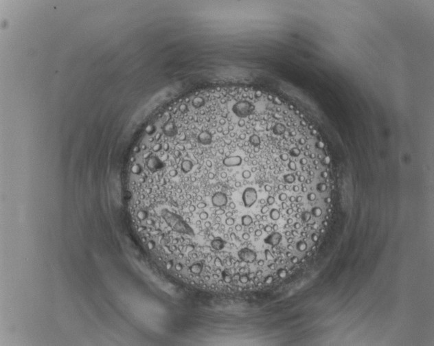 X0000062840729200601272015