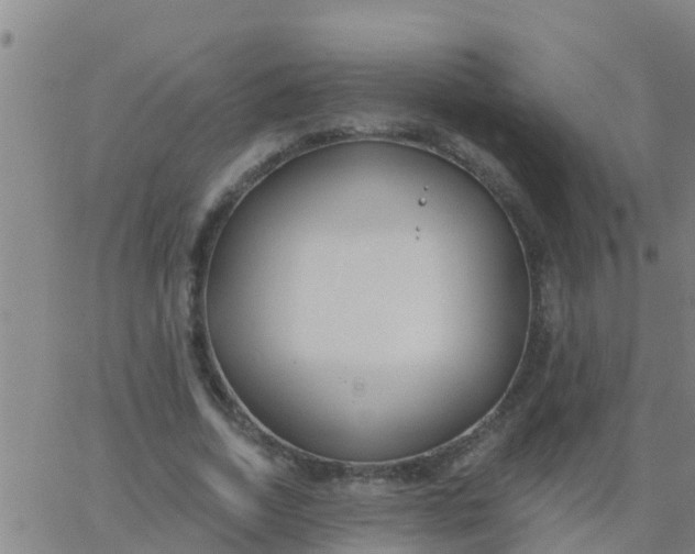 X0000062840730200601272015