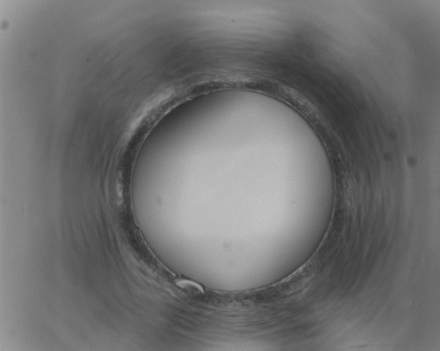 X0000062840731200601272015