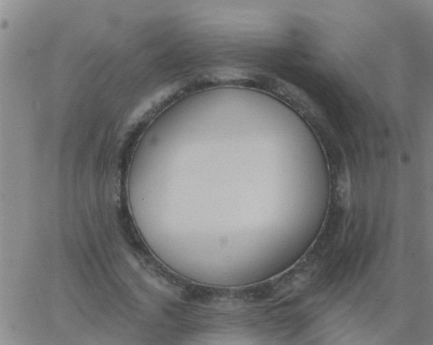 X0000062840732200601272015