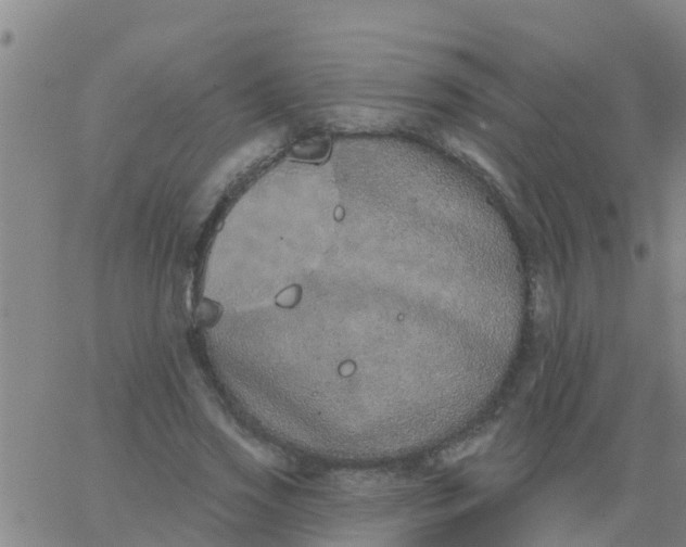 X0000062840733200601272015