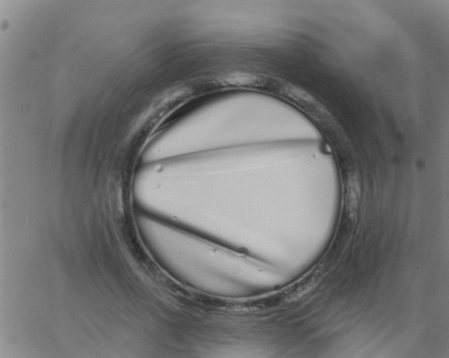 X0000062840734200601272015