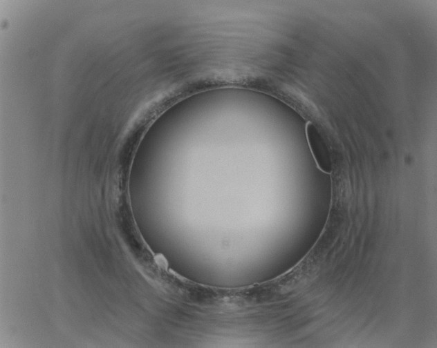 X0000062840736200601272015