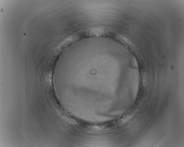 X0000062840737200601272015