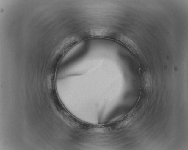 X0000062840738200601272016