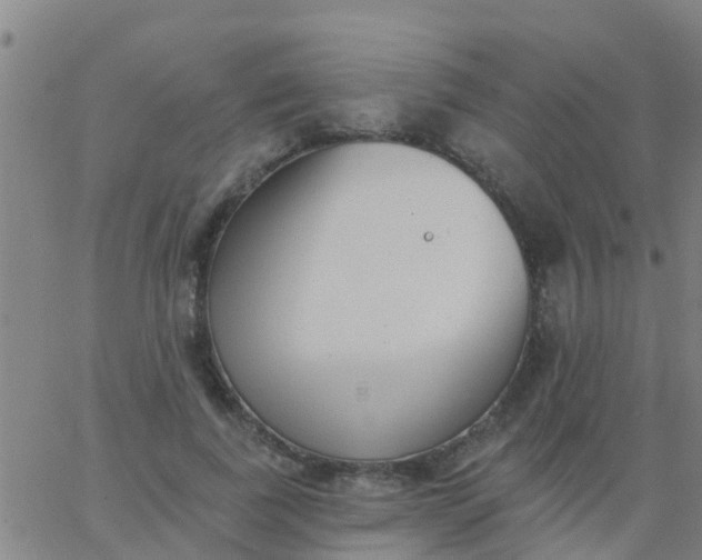 X0000062840739200601272016