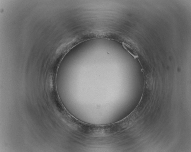 X0000062840740200601272016