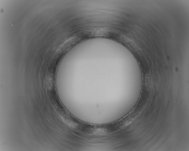 X0000062840741200601272016