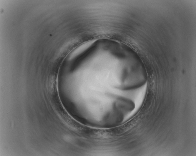 X0000062840742200601272016