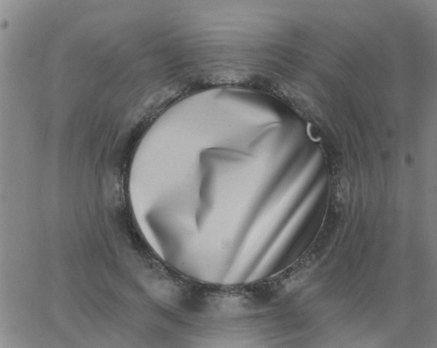 X0000062840743200601272016