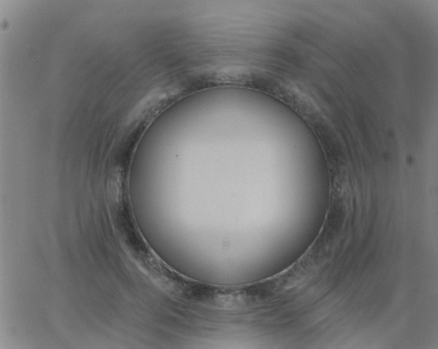 X0000062840744200601272016