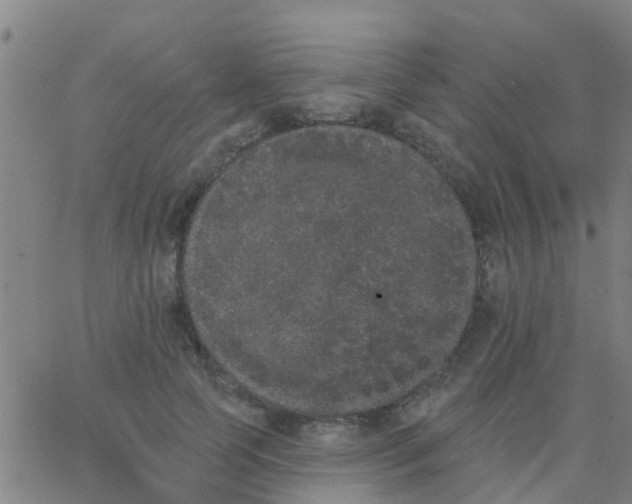 X0000062840745200601272016