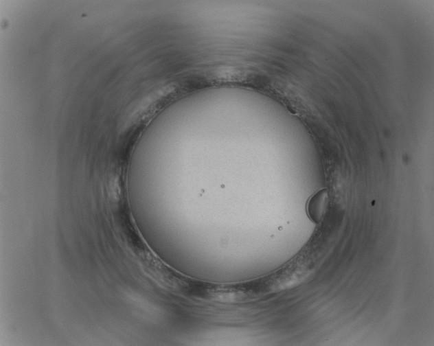 X0000062840746200601272016