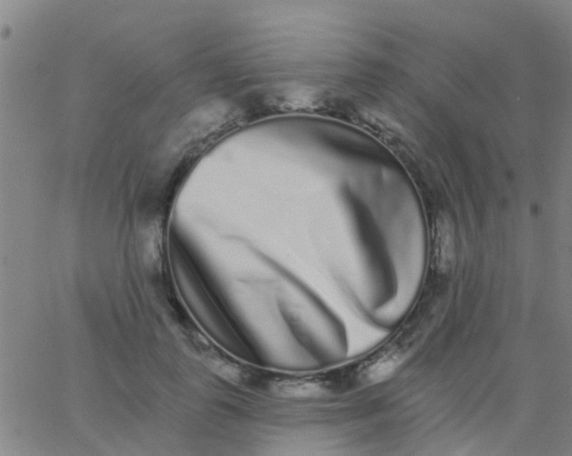 X0000062840747200601272016