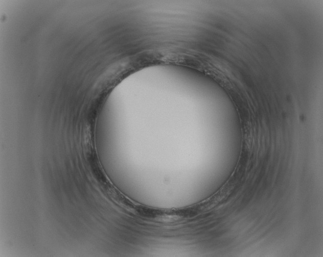 X0000062840748200601272016