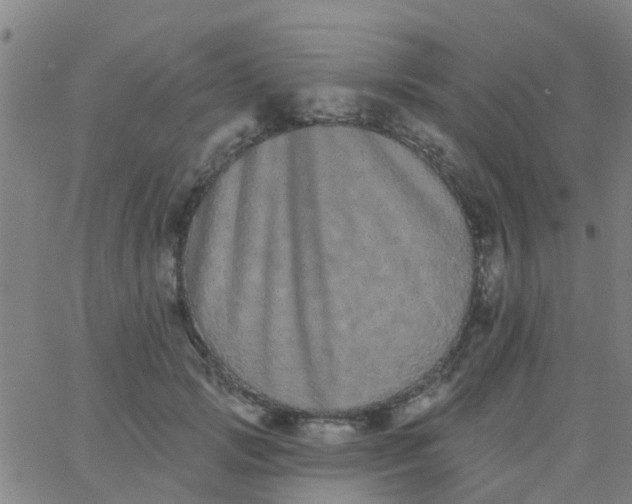 X0000062840749200601272016