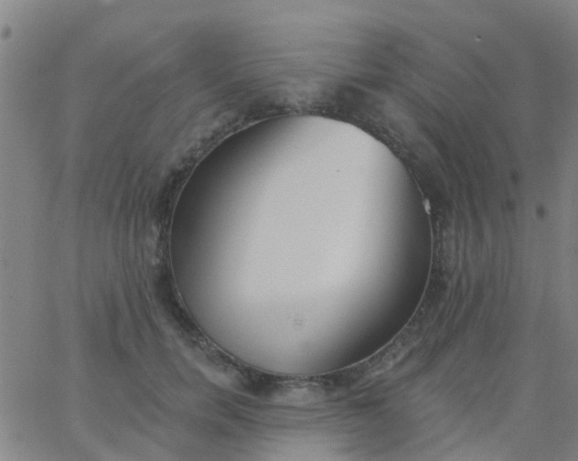 X0000062840750200601272016