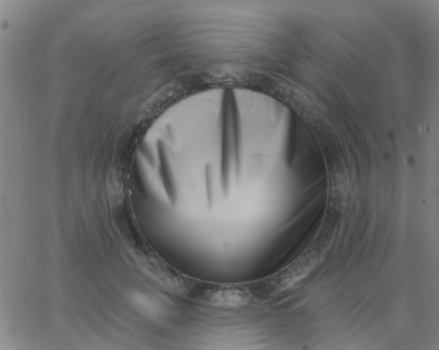 X0000062840751200601272016