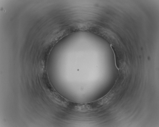 X0000062840752200601272016