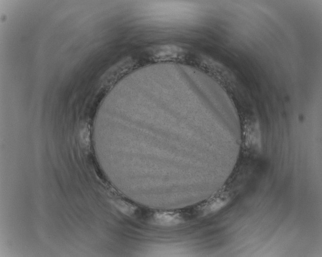 X0000062840753200601272016