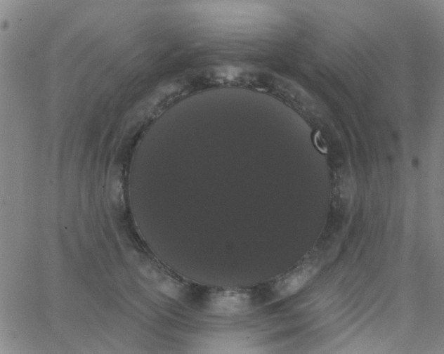 X0000062840754200601272016