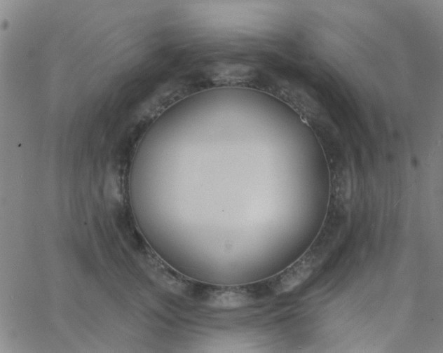 X0000062840755200601272016