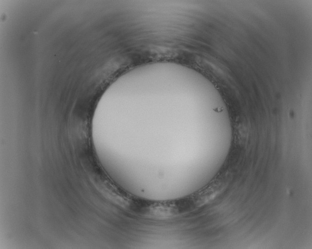 X0000062840756200601272016