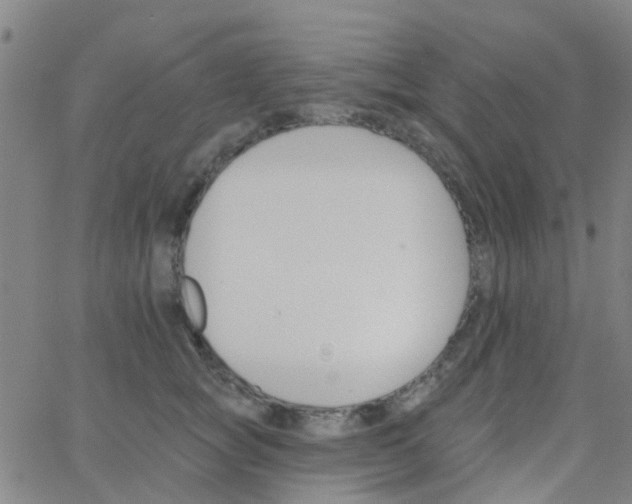 X0000062840757200601272016