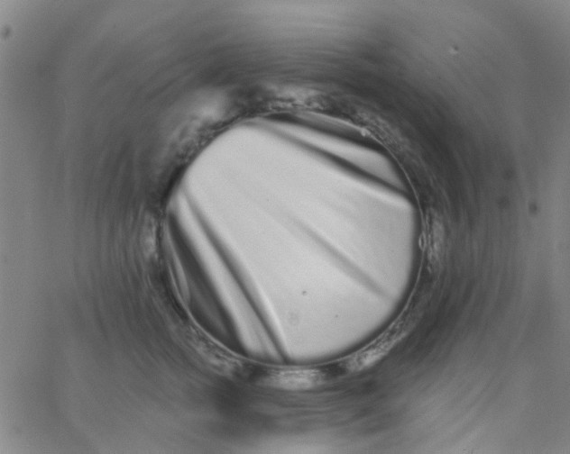 X0000062840758200601272016