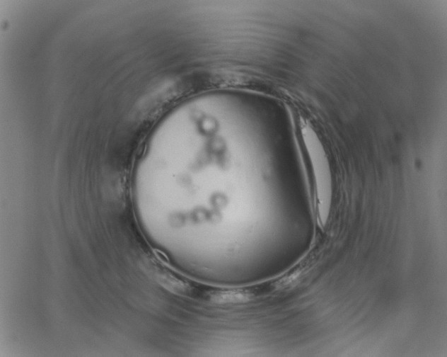 X0000062840759200601272016