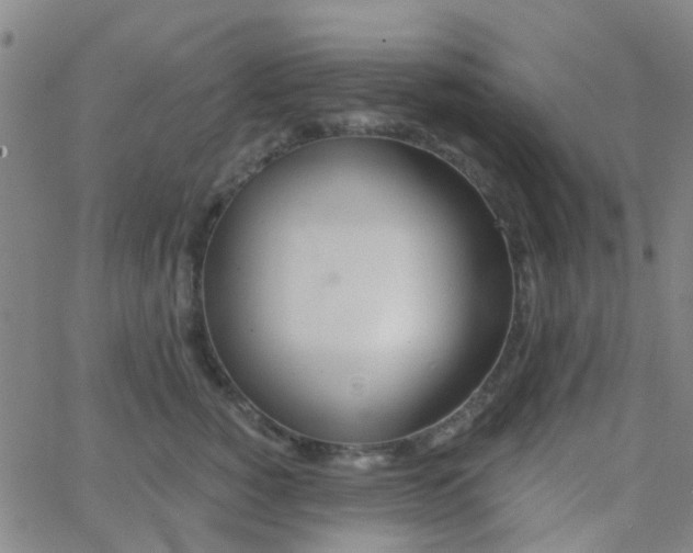 X0000062840760200601272016