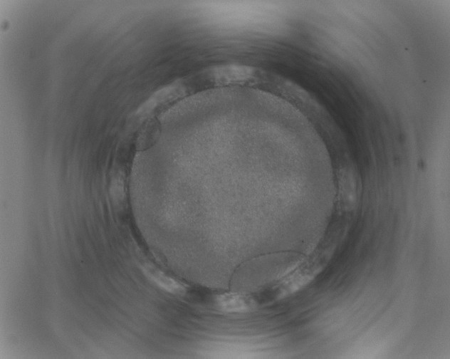 X0000062840761200601272016