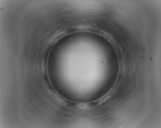 X0000062840762200601272016