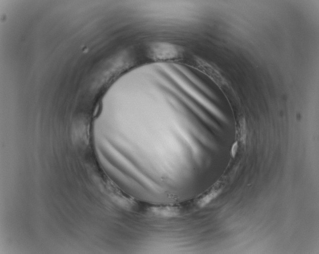 X0000062840763200601272016