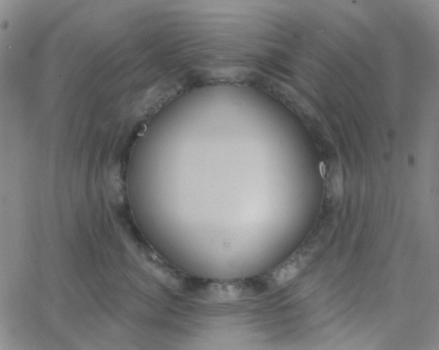 X0000062840764200601272016