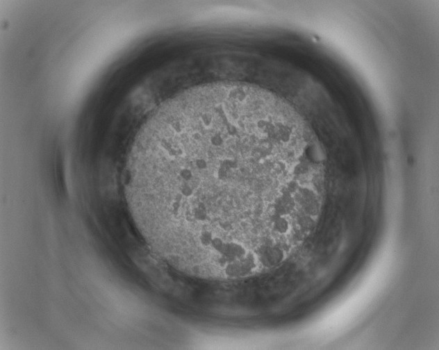 X0000062840765200601272016