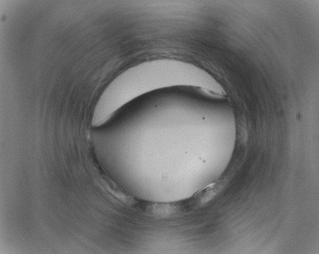 X0000062840766200601272016