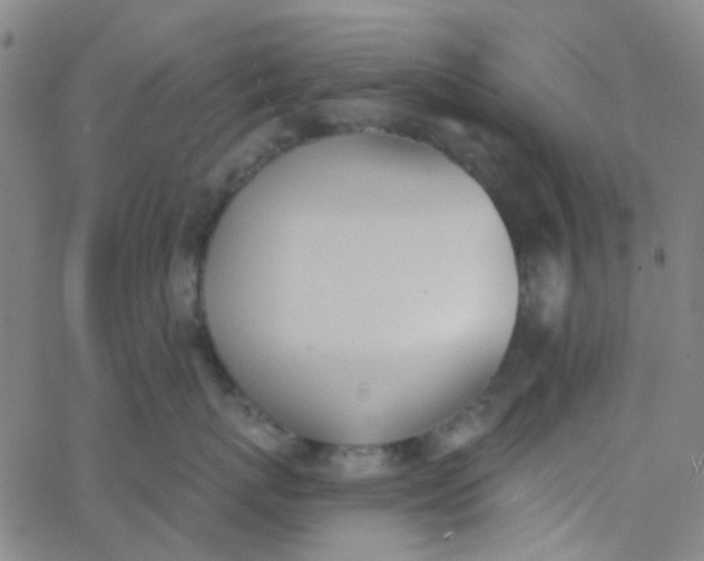 X0000062840767200601272016