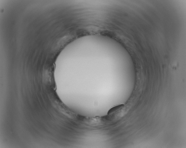 X0000062840768200601272016