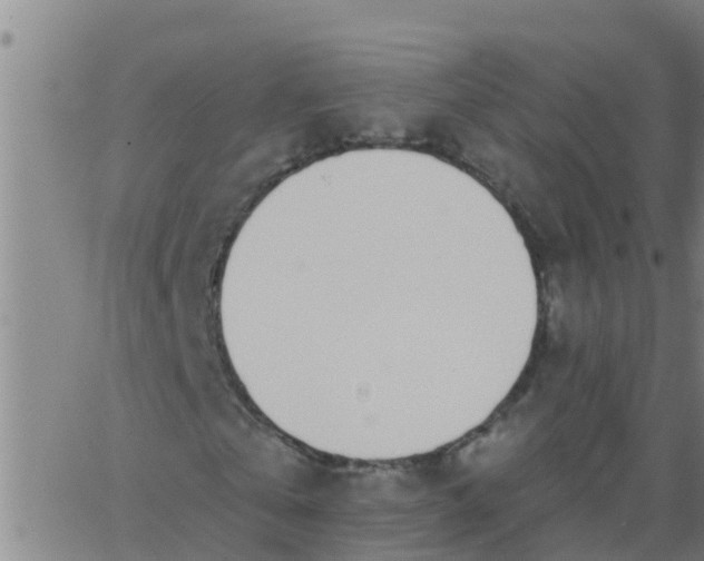 X0000062840769200601272015