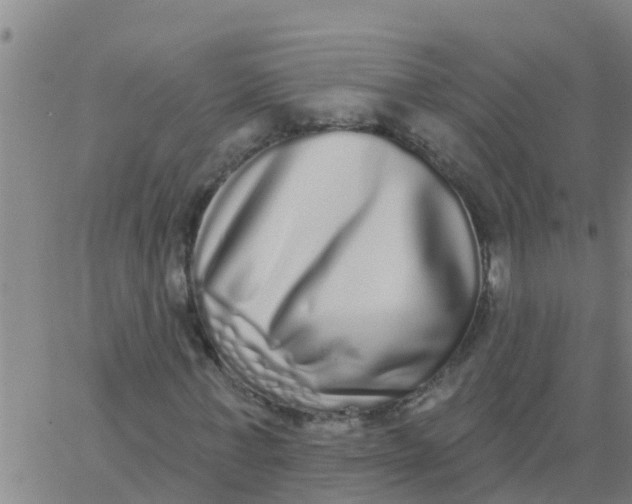 X0000062840771200601272015