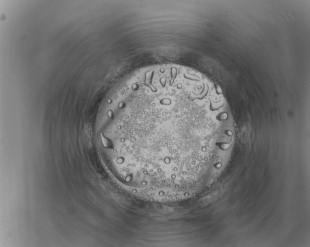 X0000062840772200601272015