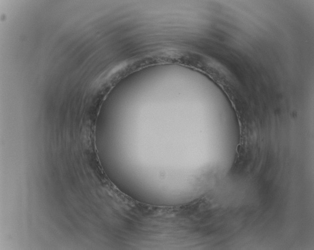 X0000062840773200601272015