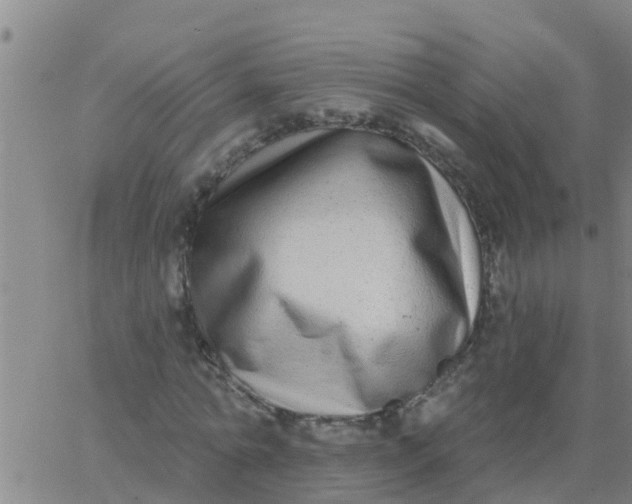 X0000062840774200601272015