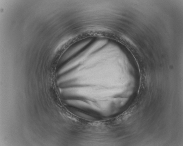 X0000062840775200601272015