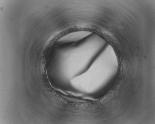 X0000062840776200601272015